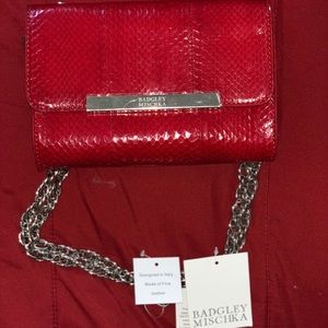 Badgley Mischka Bag